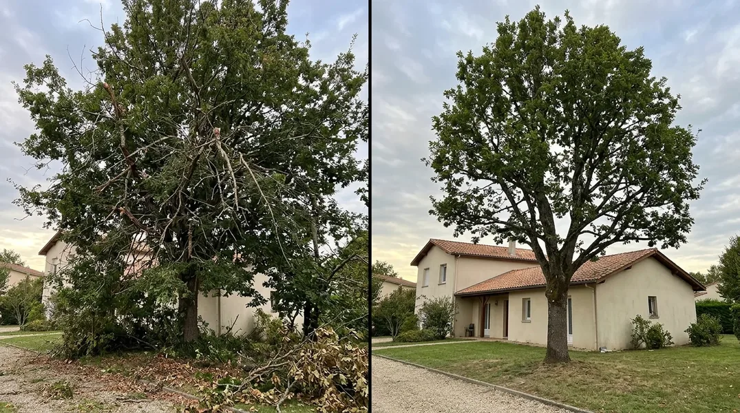 Faut-il une autorisation pour abattre un arbre ou une haie dans un secteur protégé du littoral costarmoricain (Côte de Granit rose, baie de Saint-Brieuc) ?